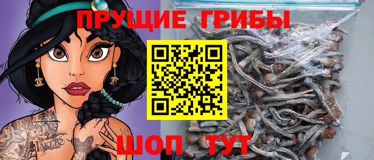 Псилоцибиновые грибы GOLDEN TEACHER Соликамск