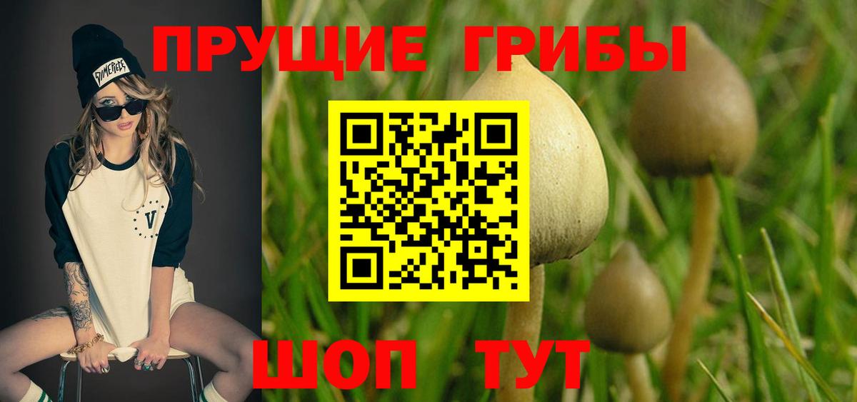 где продают   Галлюциногенные грибы MAGIC MUSHROOMS  Вход с VPN  Соликамск 
